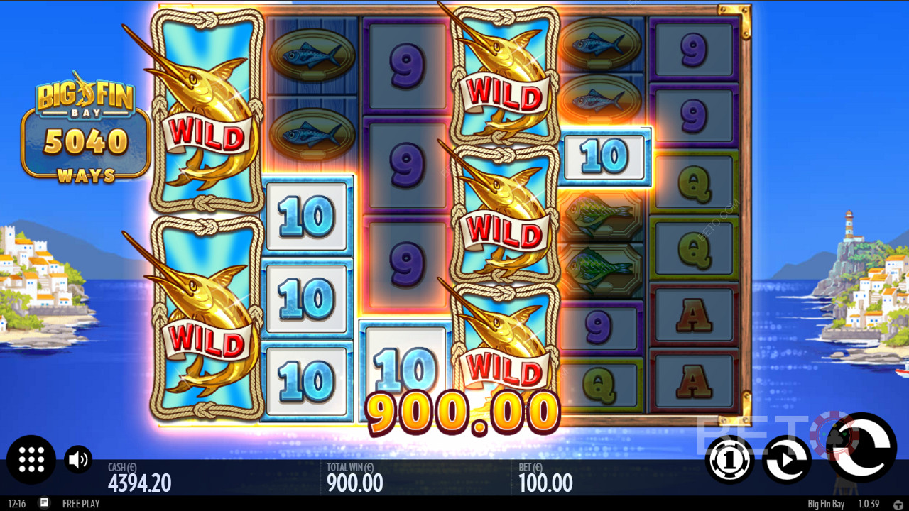 Big Fin Bay high winning potential