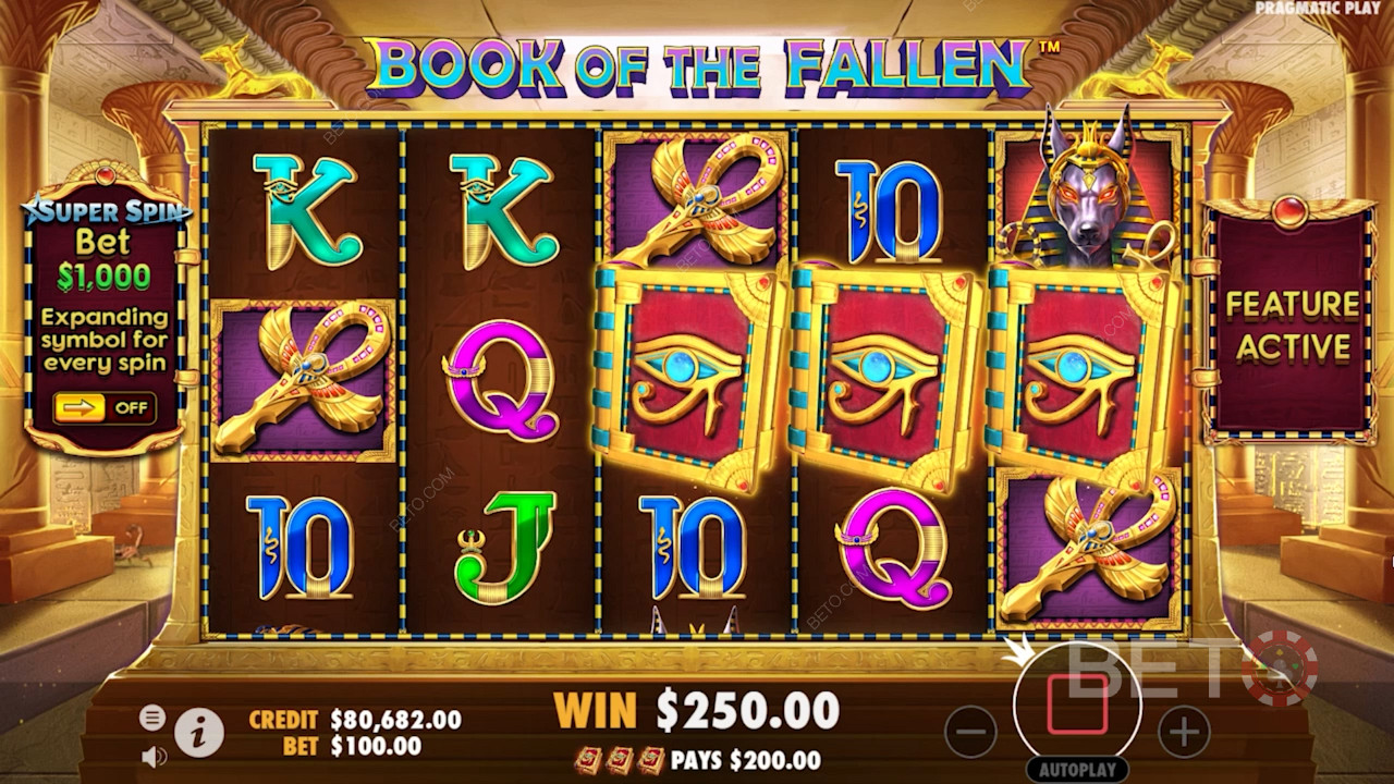 Land at least 3 Magic Book Bonus symbols to activate the free spins mode