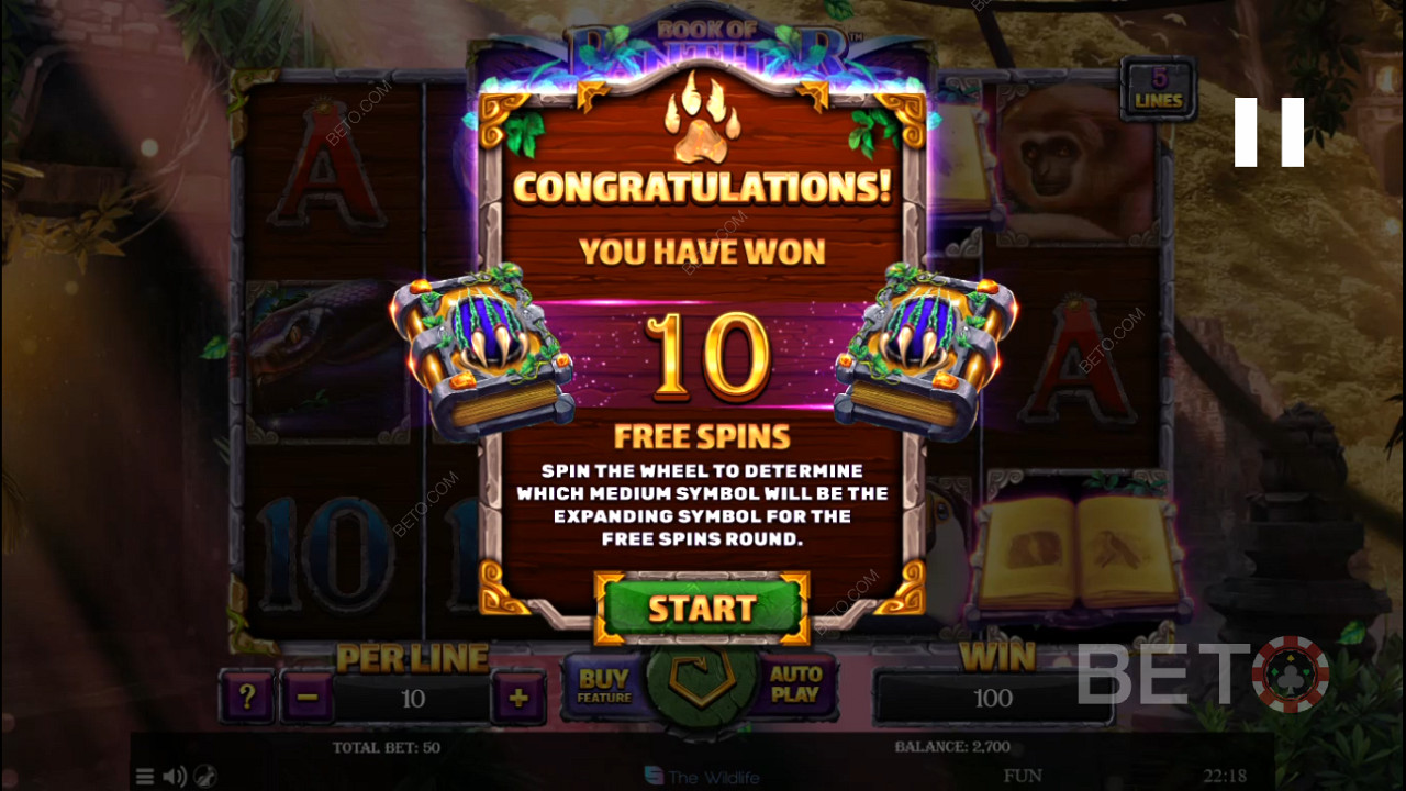 Free spins triggered when 3 or more Scatters appear on the reels