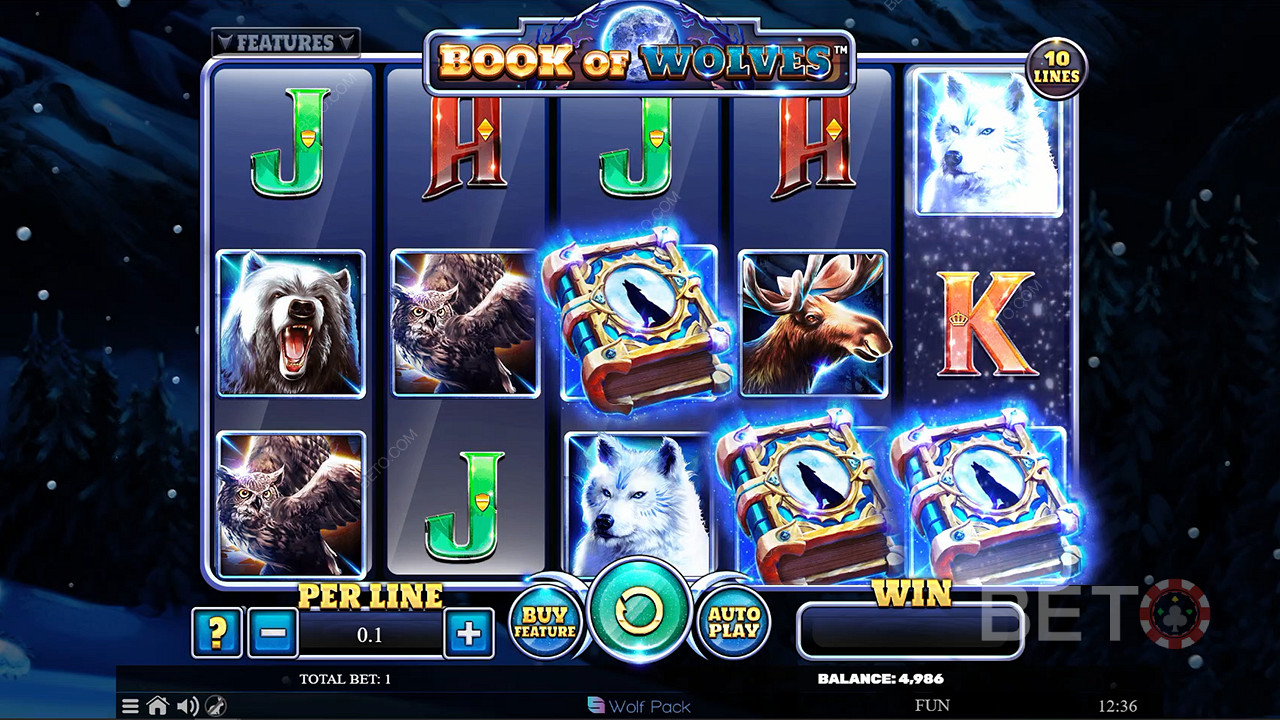 Book of Wolves RTP is 96.14% with high volatility gameplay model