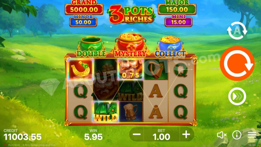 Wild symbols creating winning combinations