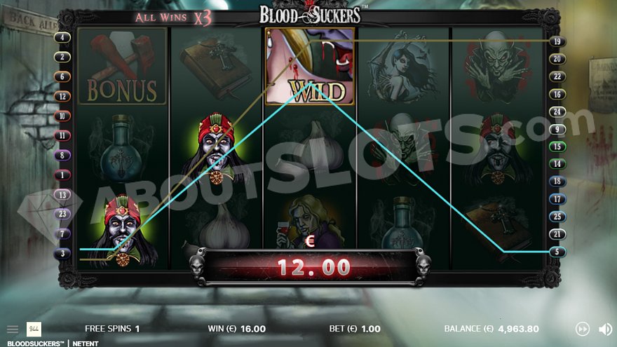 A winning combination of 3 symbols with one of the vampire symbols.