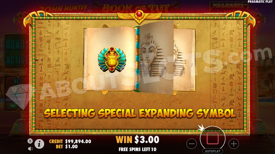 Before the free spins begin, one of the regular symbols is selected as the Special expanding symbol.