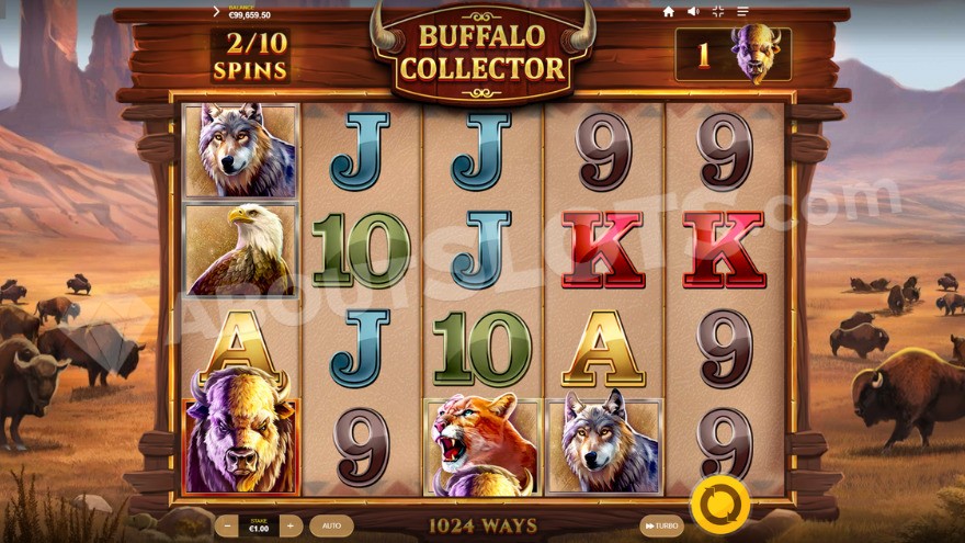 Base game with one buffalo symbol on the reels