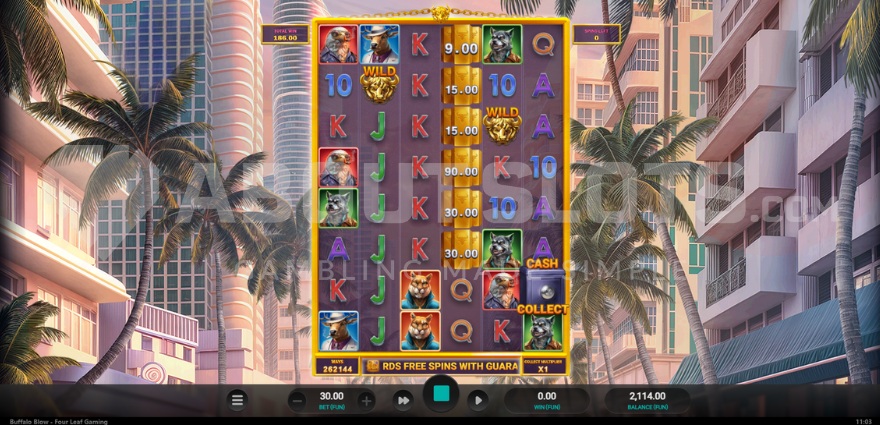Screenshot of free spins feature with all rows unlocked