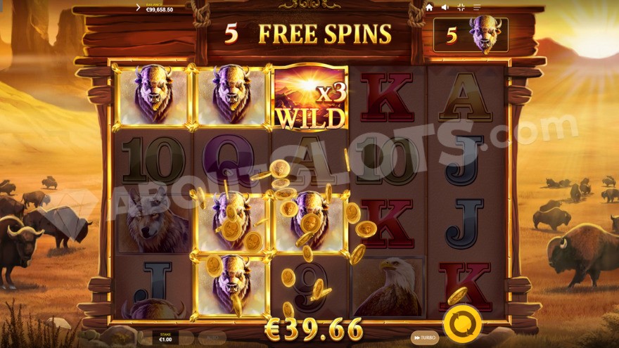 Bonus game with free spins featuring a 3X wild symbol on the middle reel