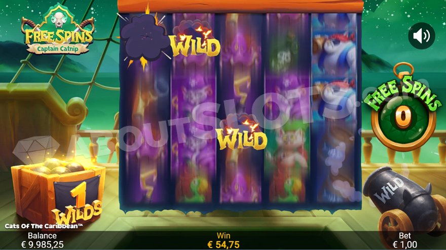 Wild symbol and special features of Cats of the Caribbean slot