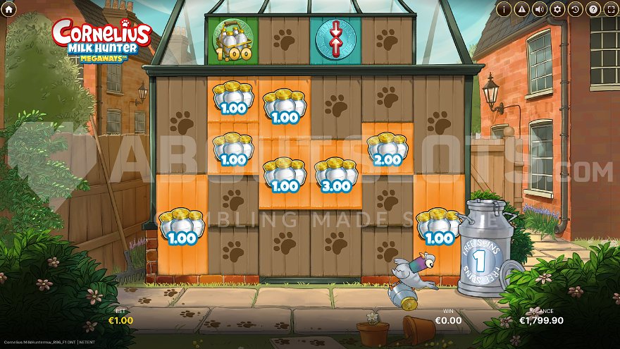 Eight bonus symbols on the reels during the bonus game
