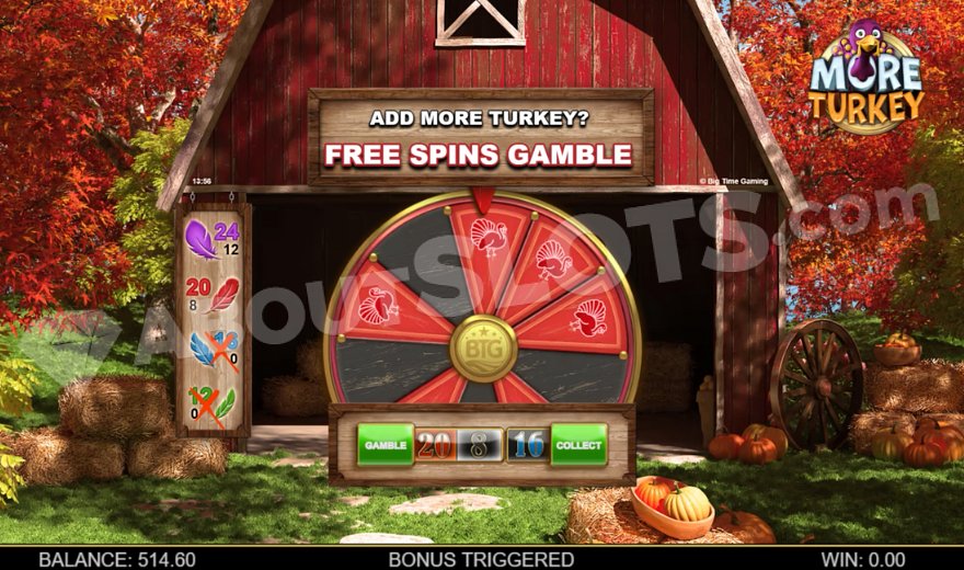 Wheel with red turkey segments and black segments for gamble feature