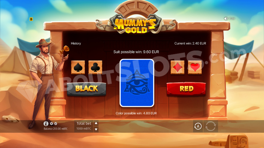 Demonstration of the gamble feature on screen